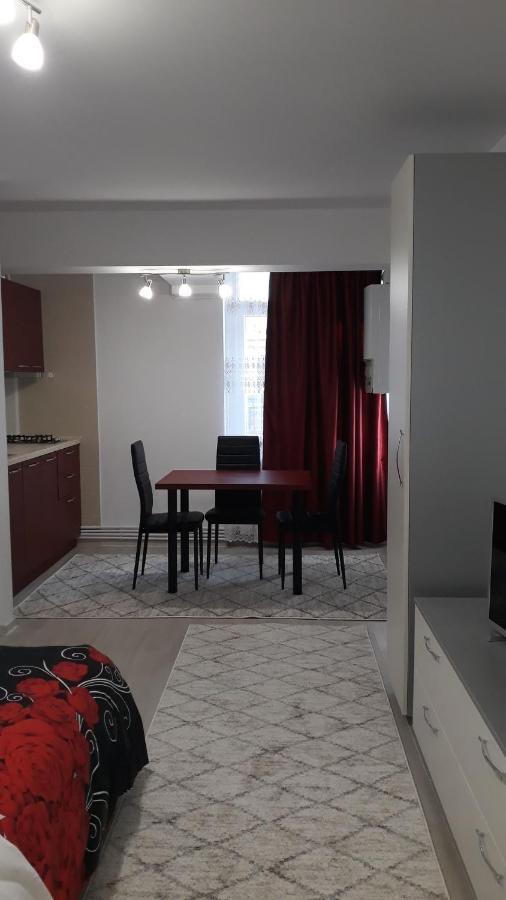 Irvin Apartament Яссы Экстерьер фото